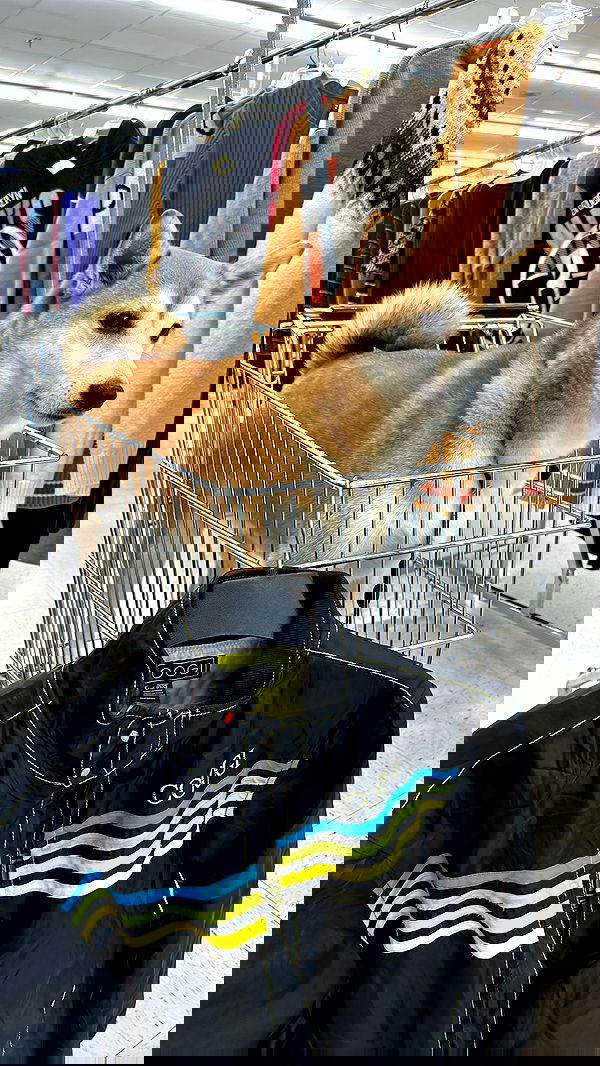 zommmbri image ~ Altpins