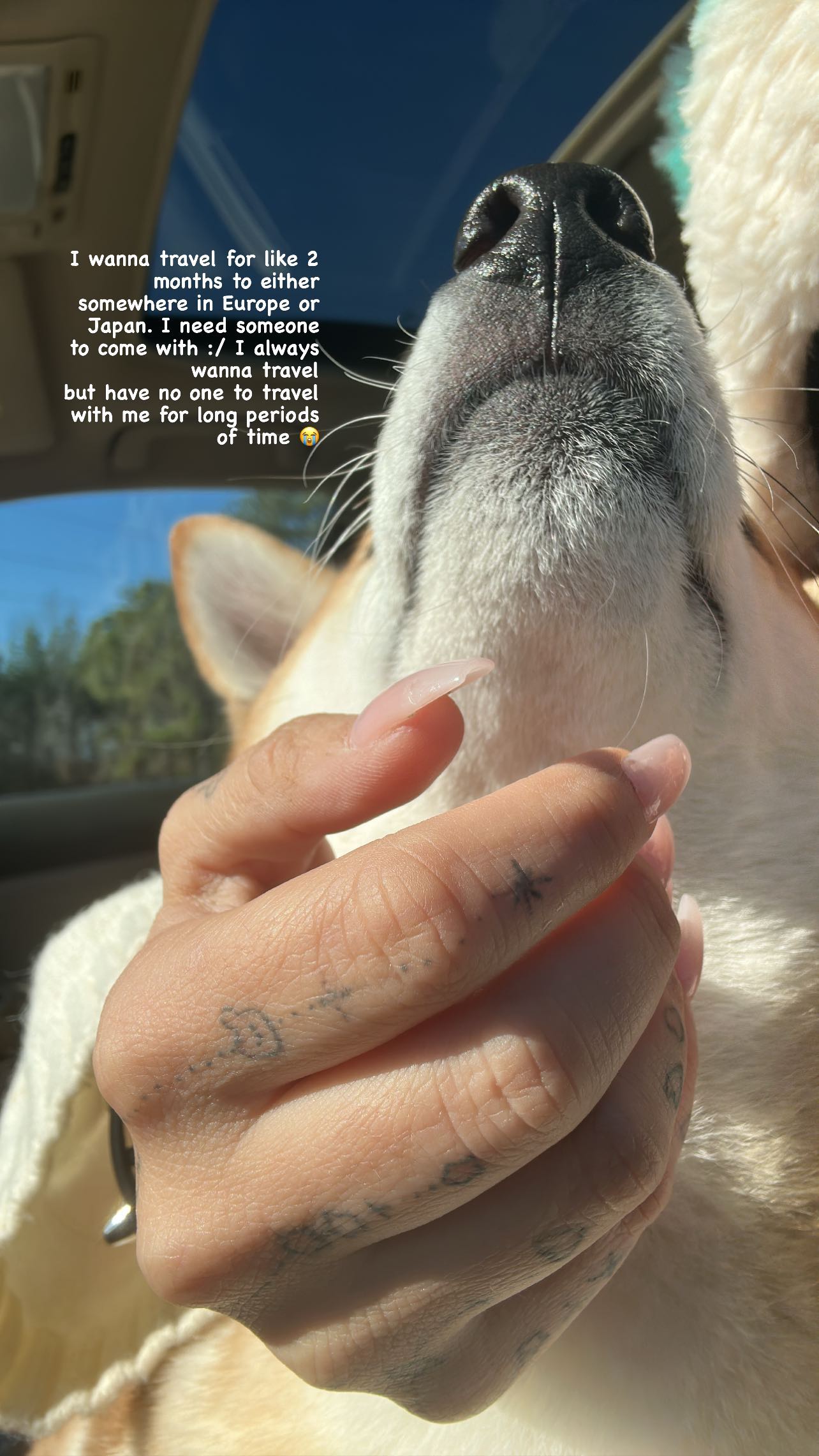 zommmbri instagram image archive image