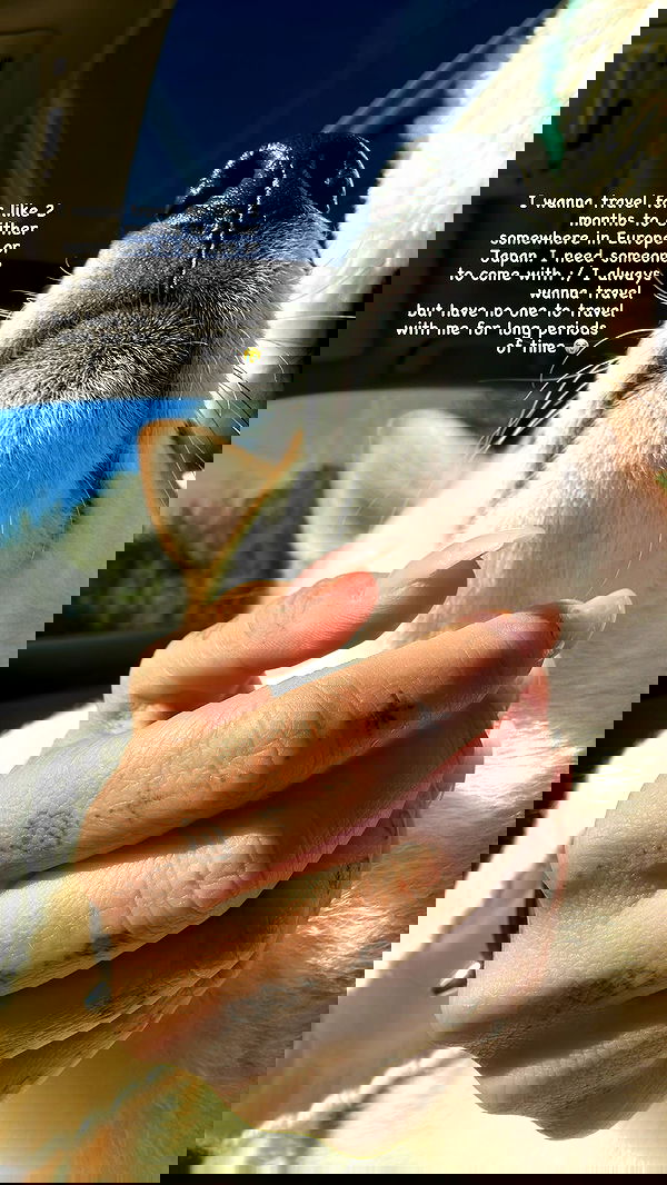 zommmbri image ~ Altpins