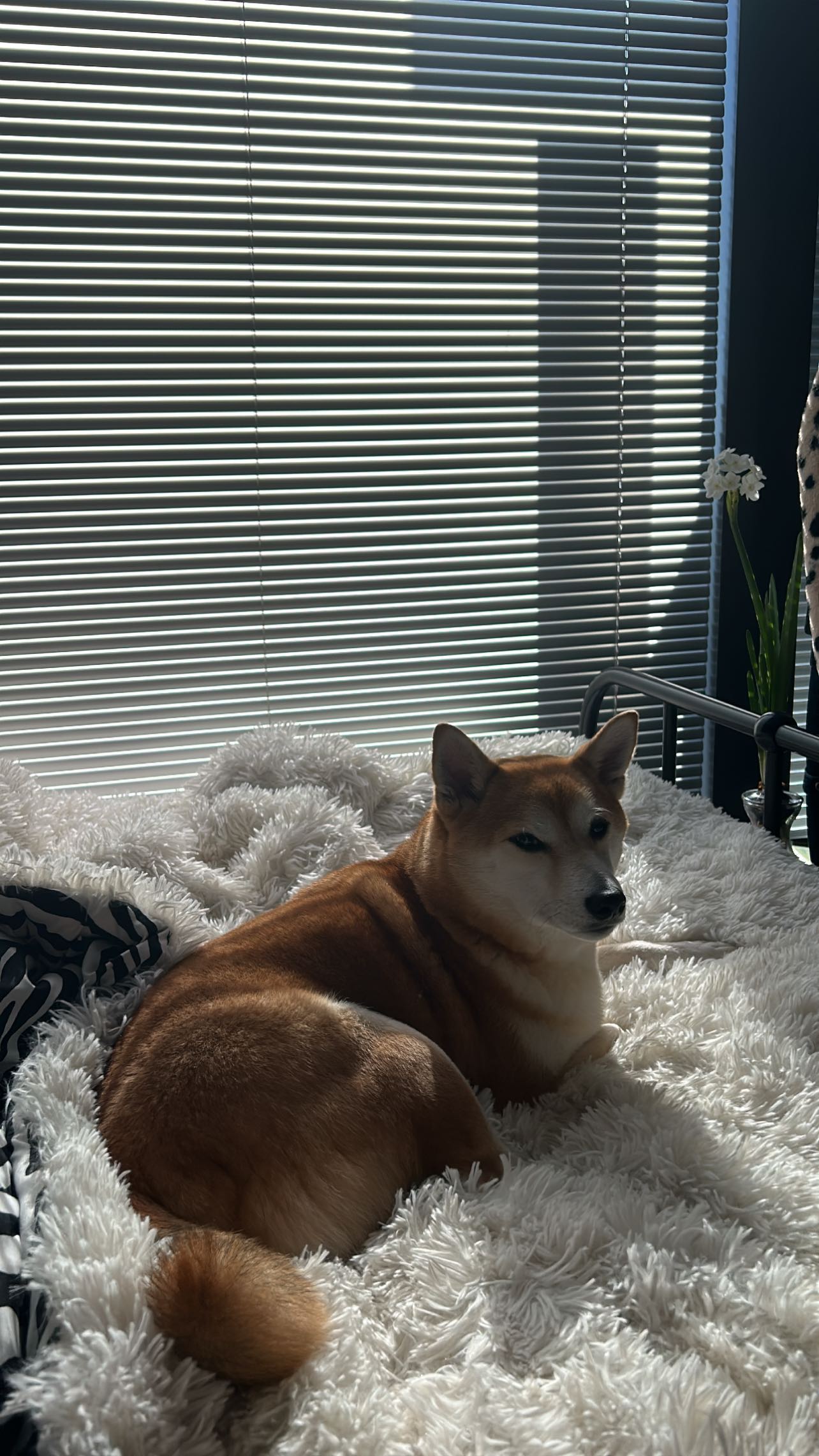 zommmbri instagram image archive image