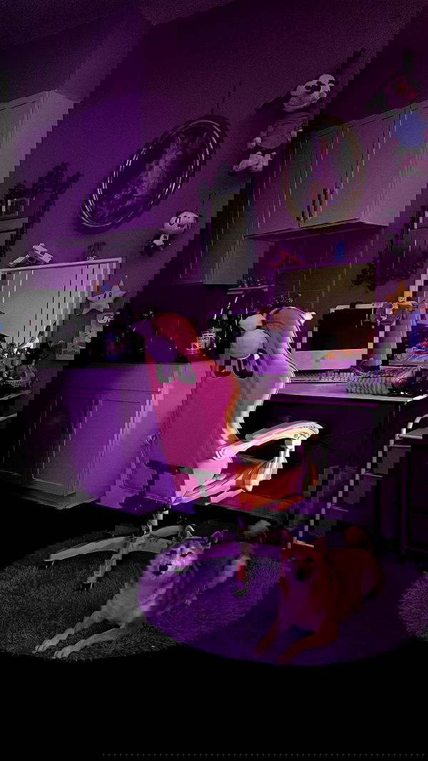 zommmbri image ~ Altpins