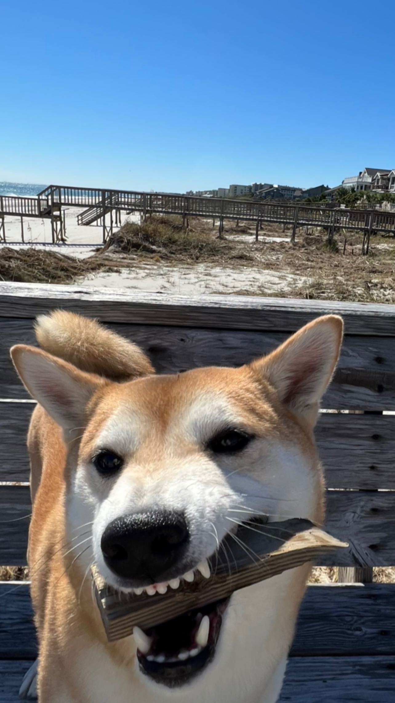 zommmbri instagram image archive image