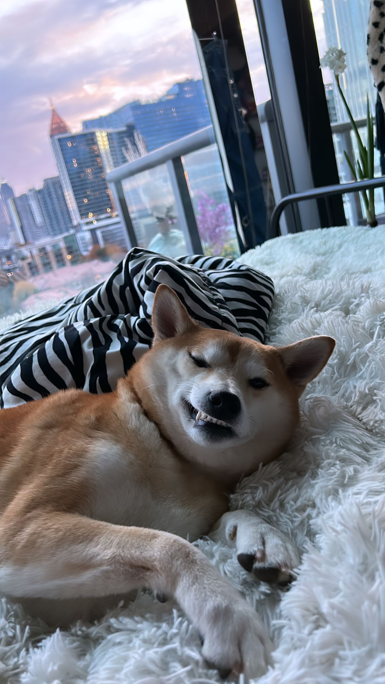 zommmbri instagram image archive image