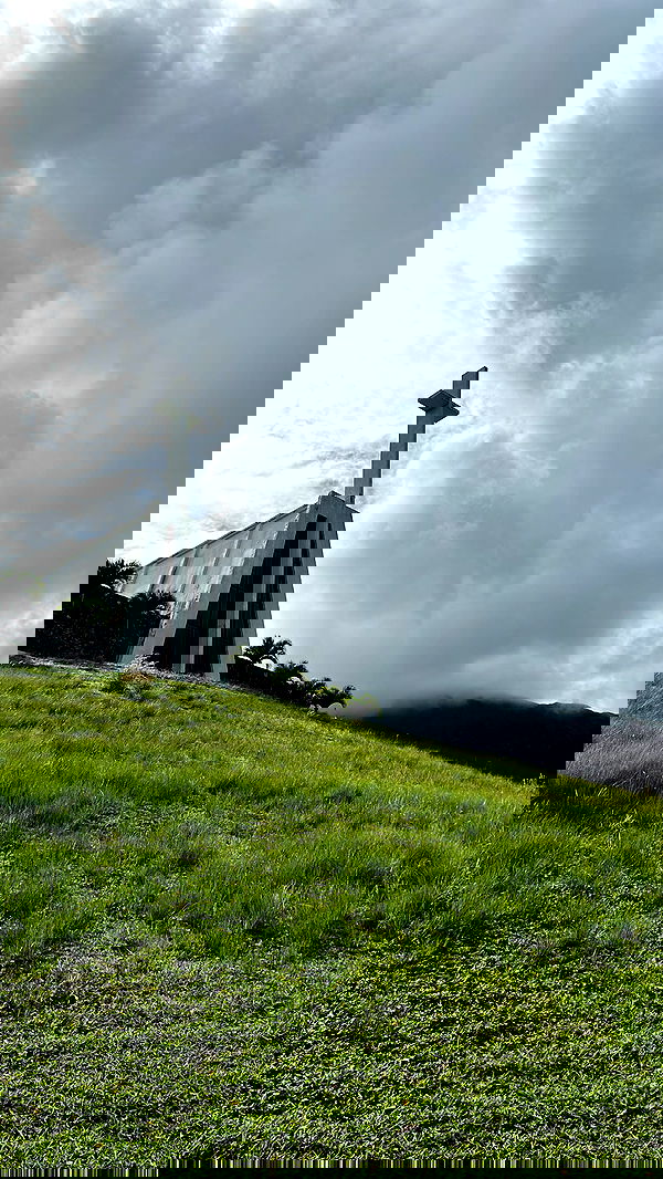 zommmbri image ~ Altpins