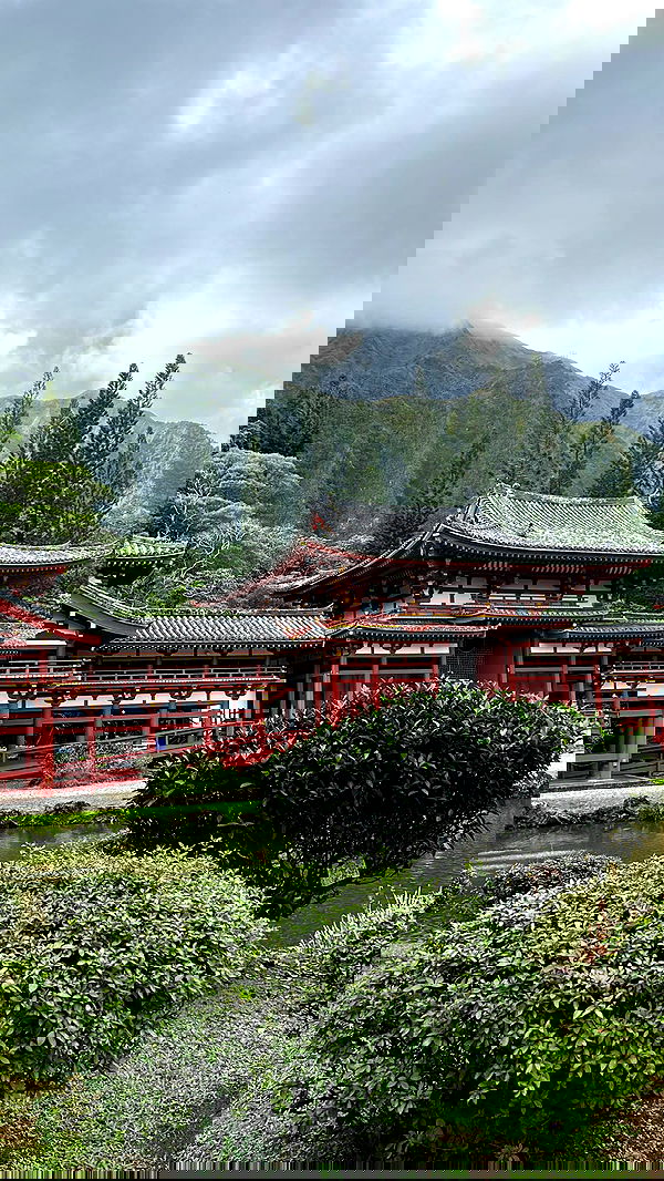 zommmbri image ~ Altpins