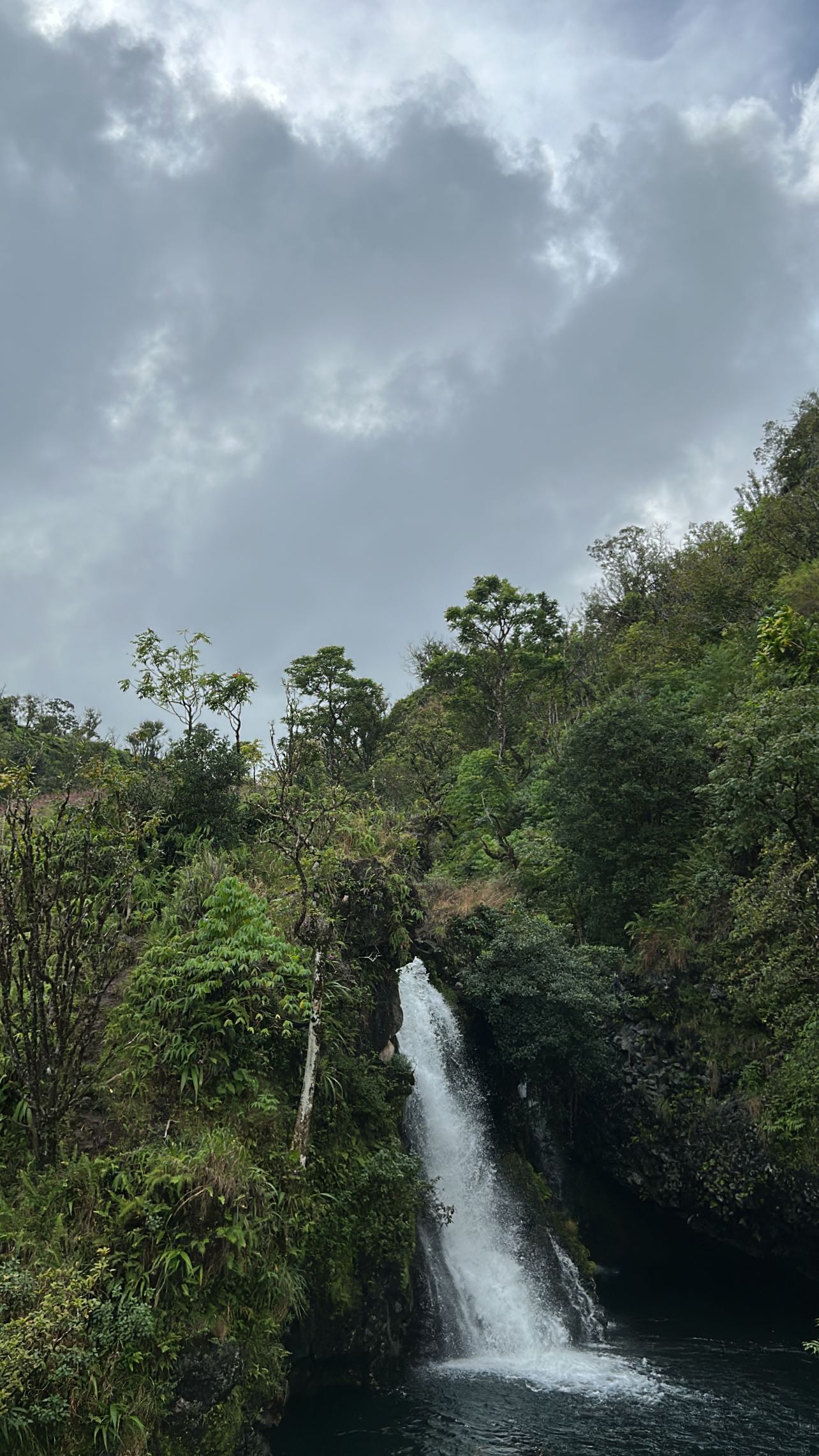 zommmbri instagram image archive image