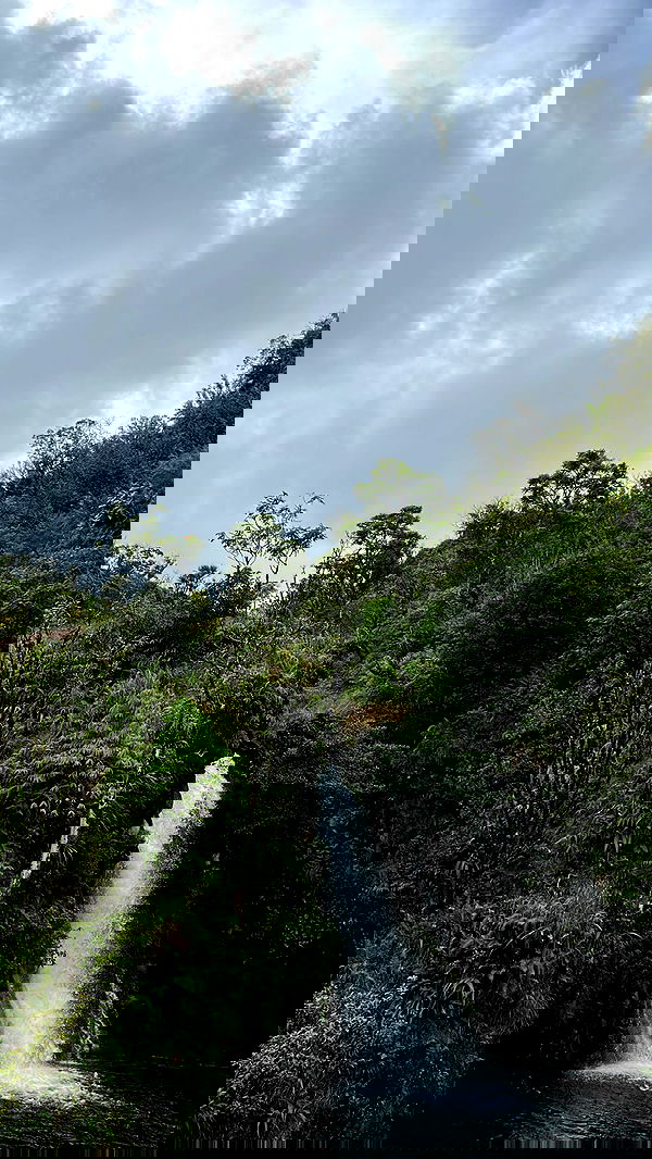 zommmbri image ~ Altpins