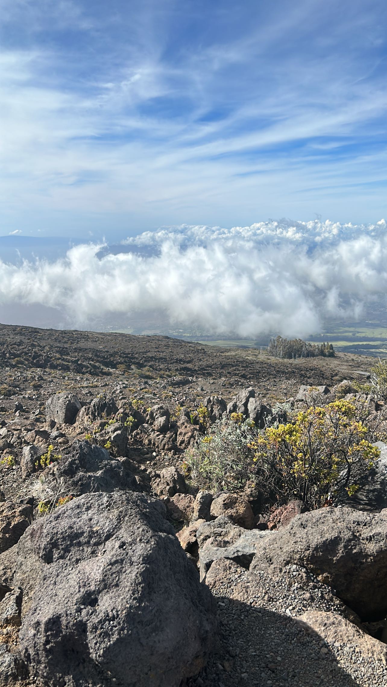 zommmbri instagram image archive image