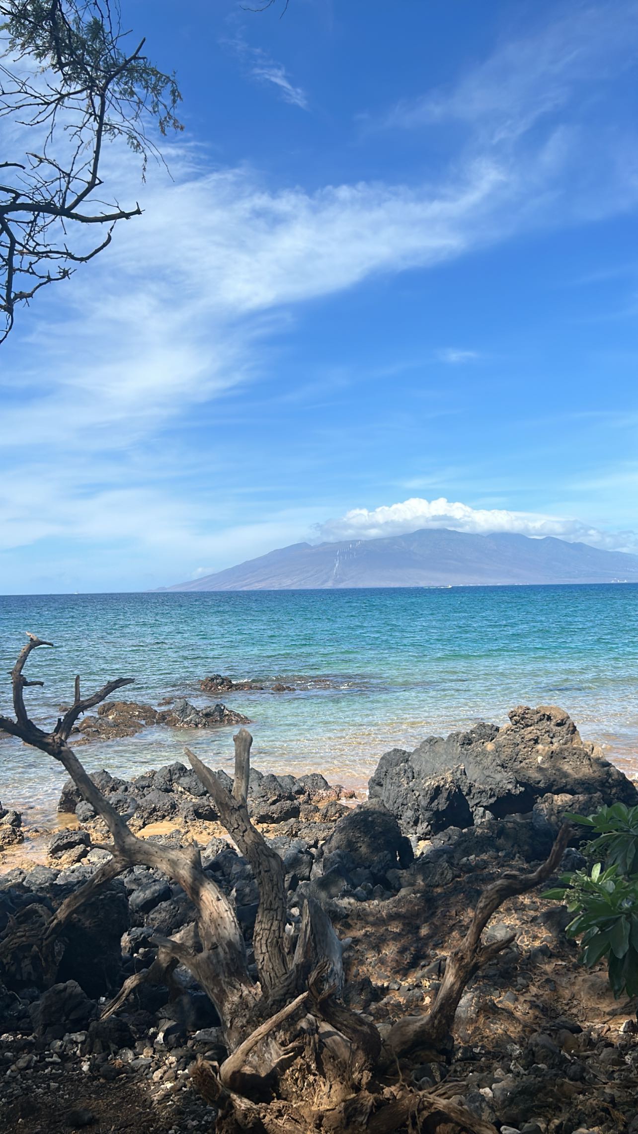 zommmbri instagram image archive image