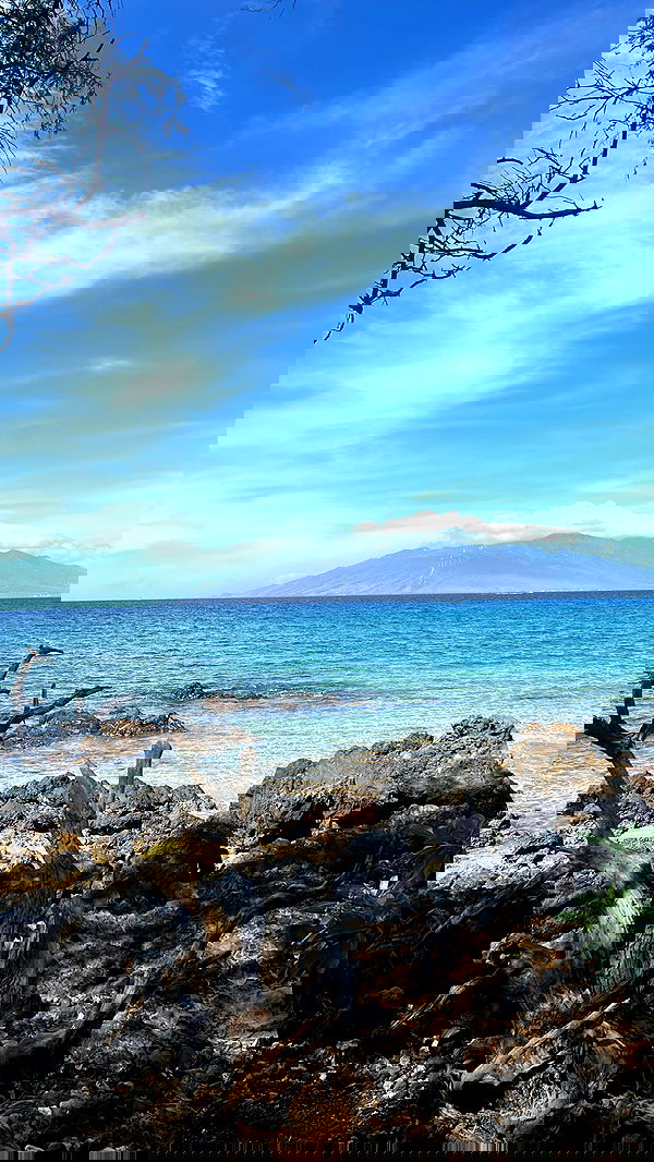 zommmbri image ~ Altpins