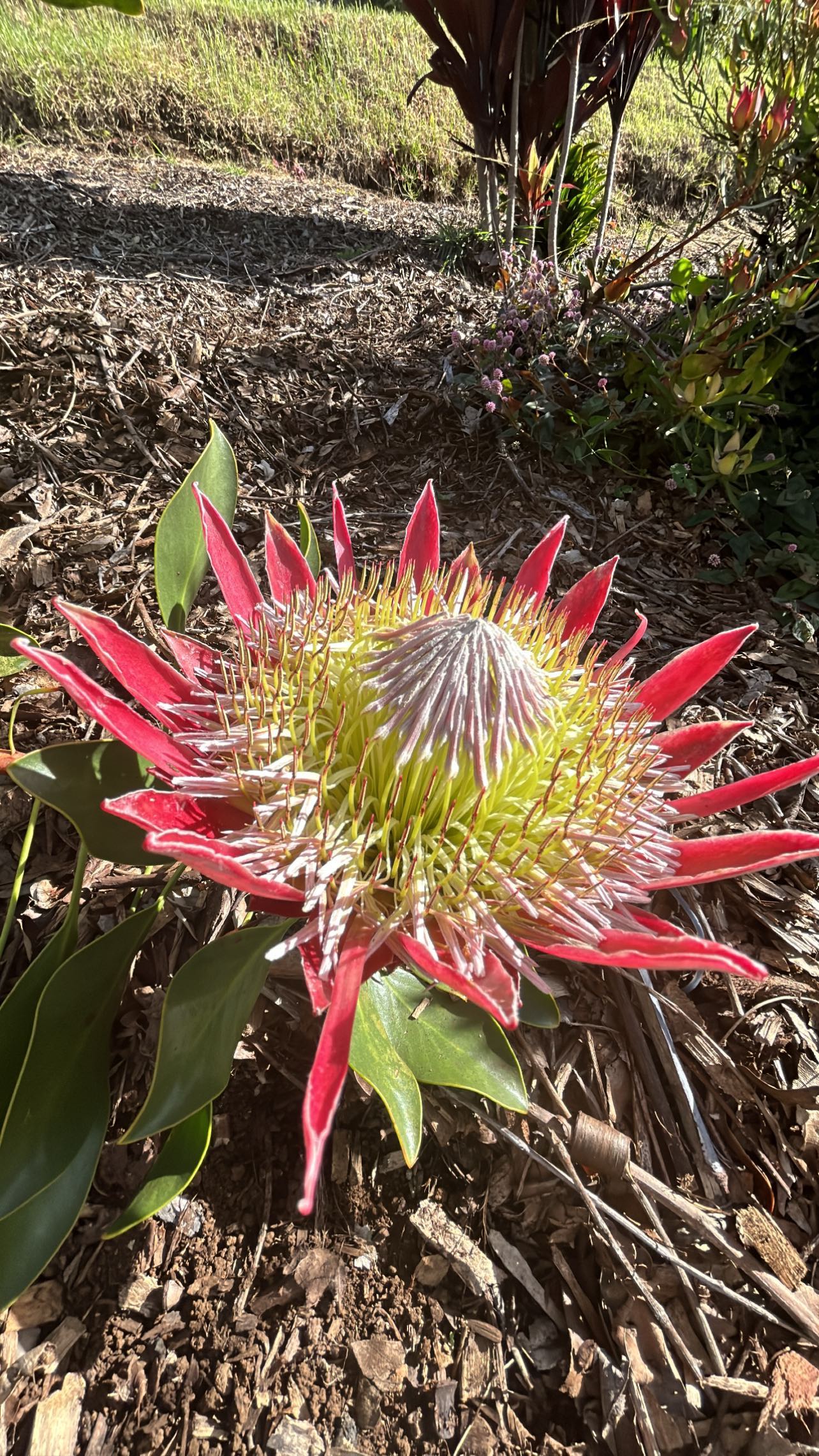 zommmbri instagram image archive image