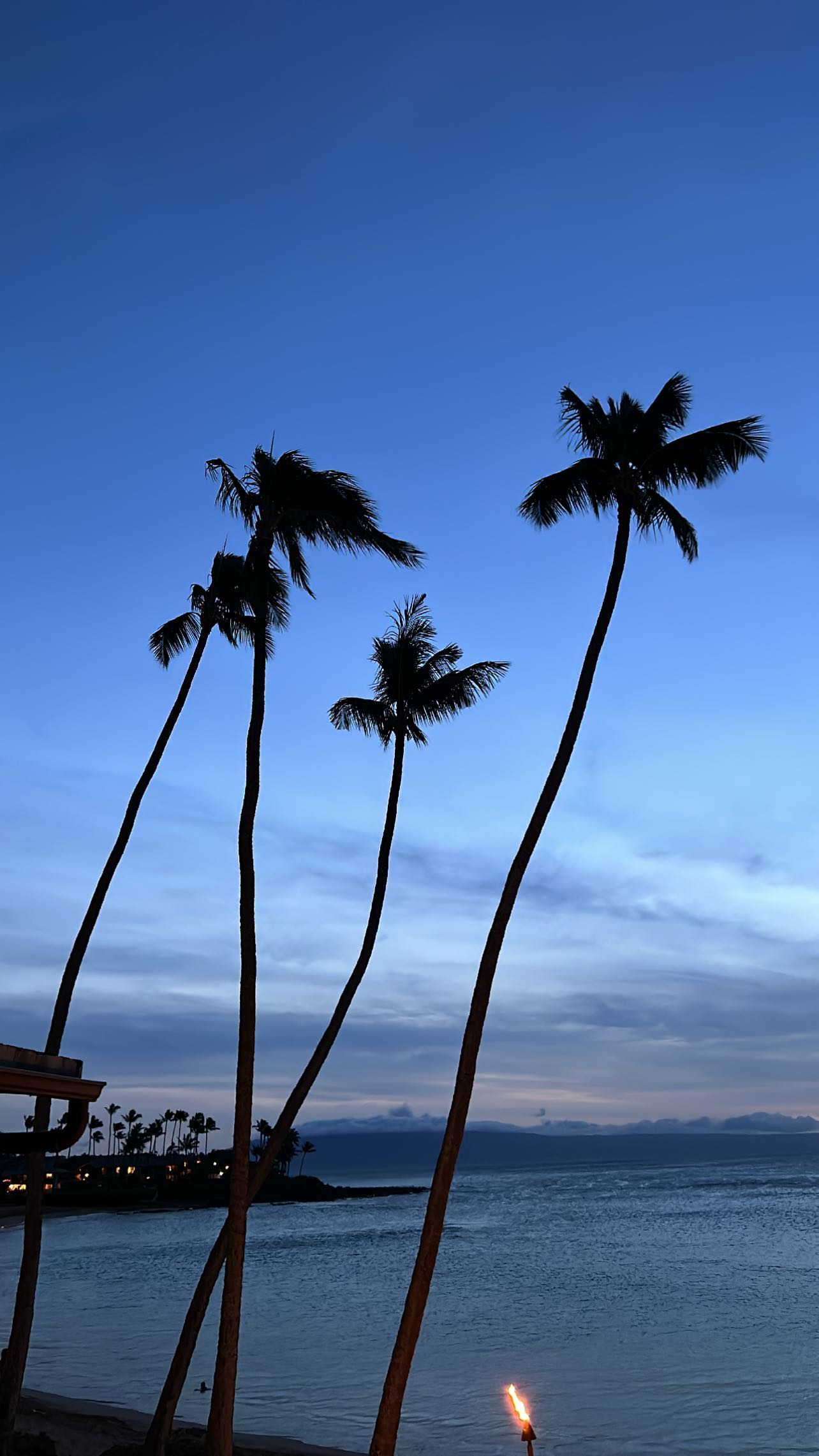 zommmbri instagram image archive image