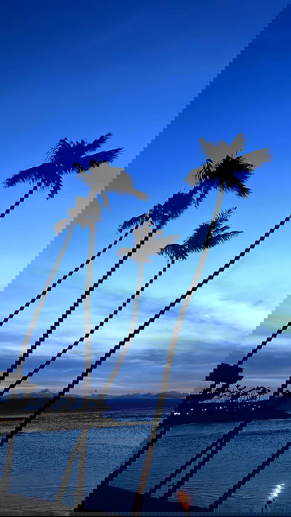 zommmbri image ~ Altpins