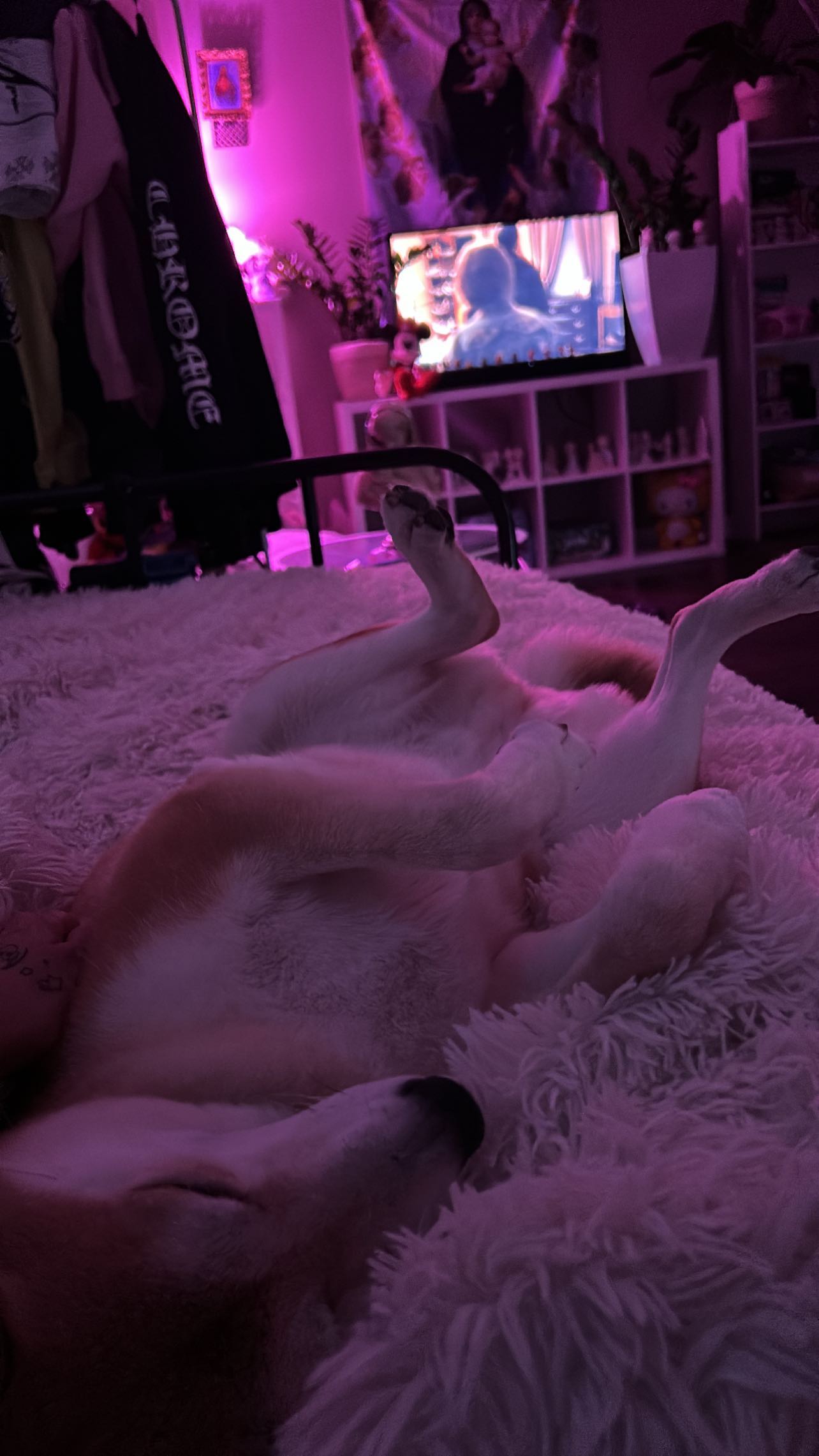 zommmbri instagram image archive image