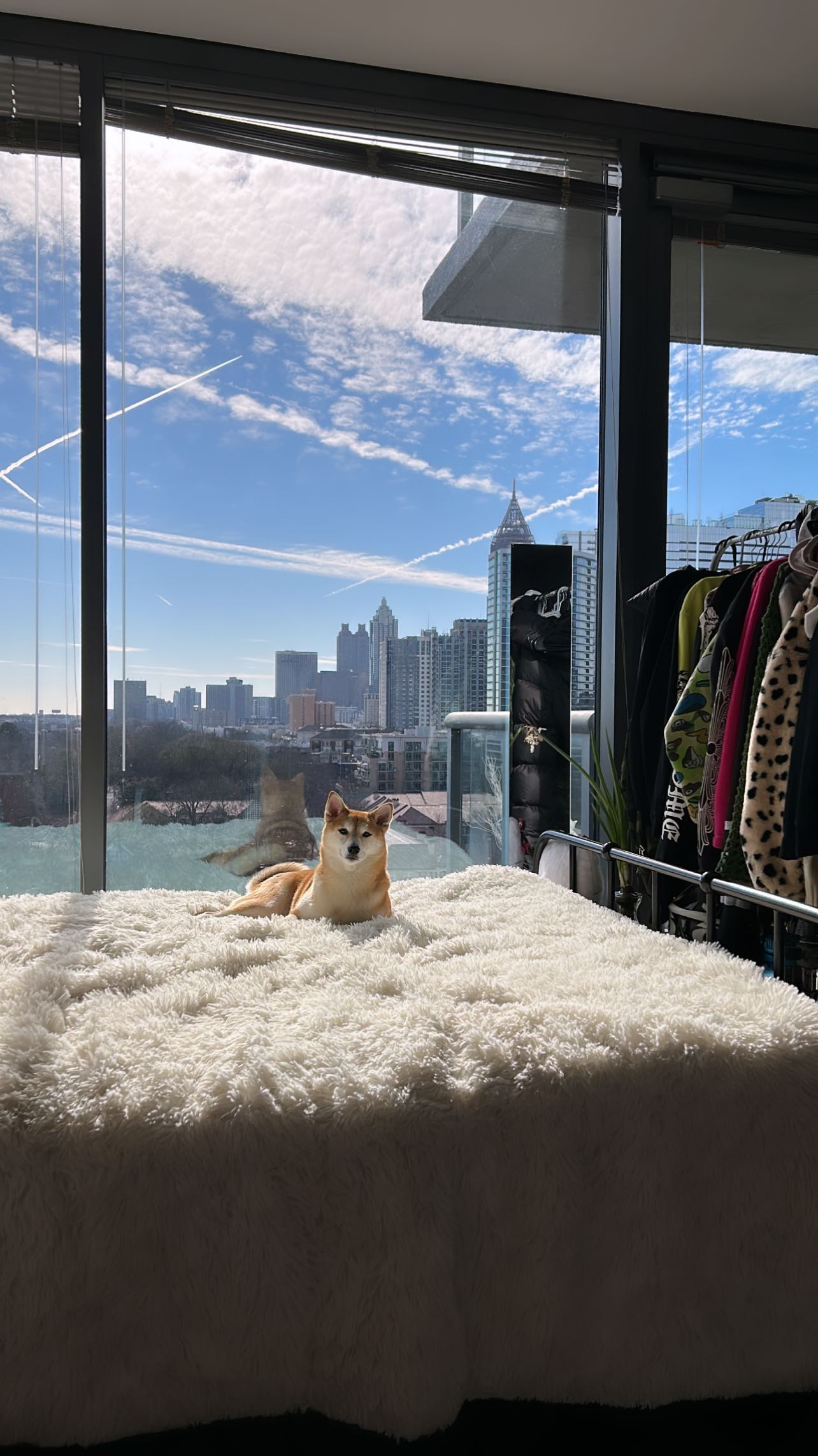 zommmbri instagram image archive image