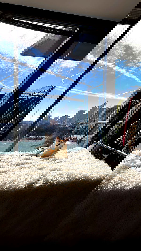 zommmbri image ~ Altpins