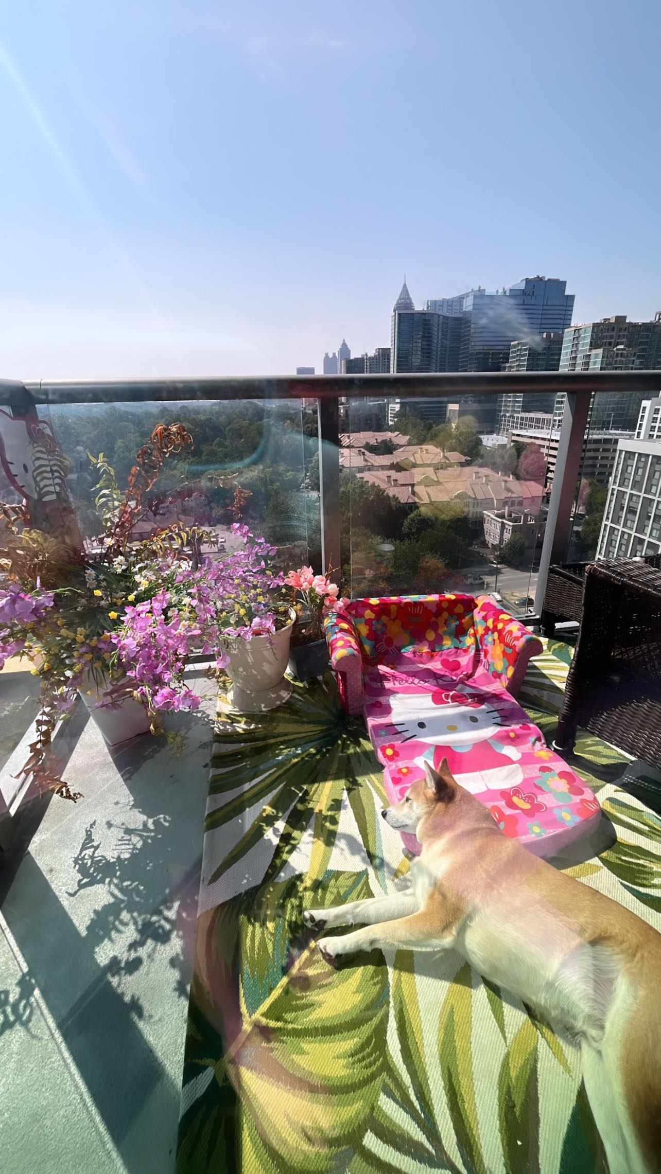 zommmbri instagram image archive image