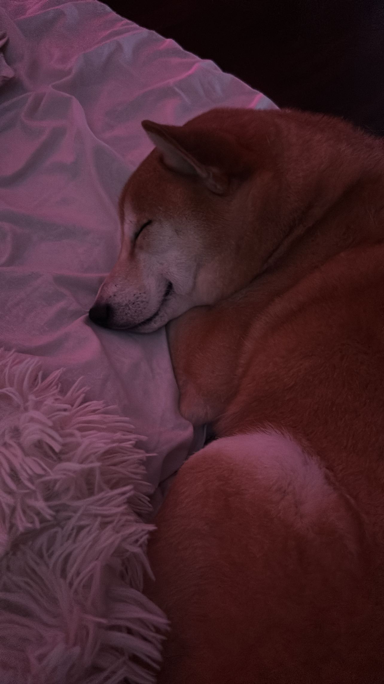 zommmbri instagram image archive image