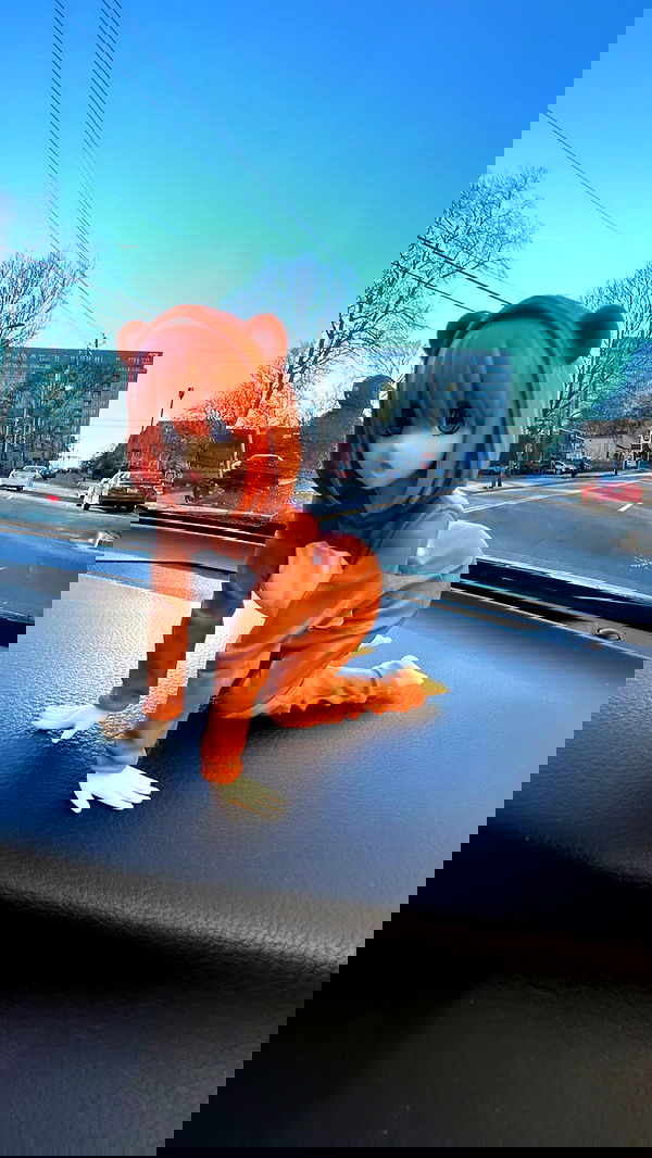 zommmbri image ~ Altpins