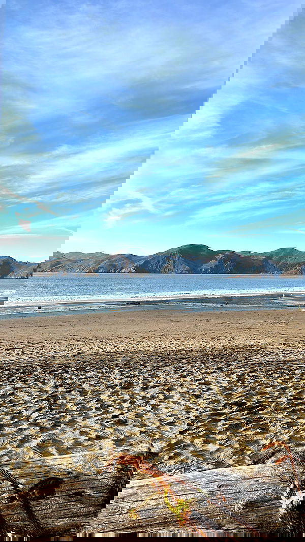 zommmbri image ~ Altpins