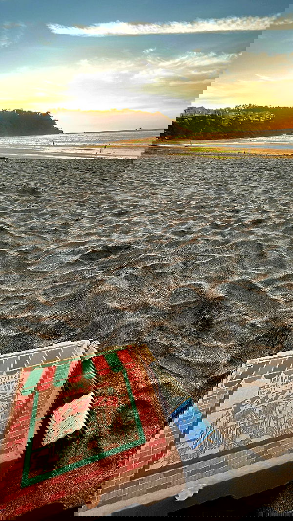 zommmbri image ~ Altpins