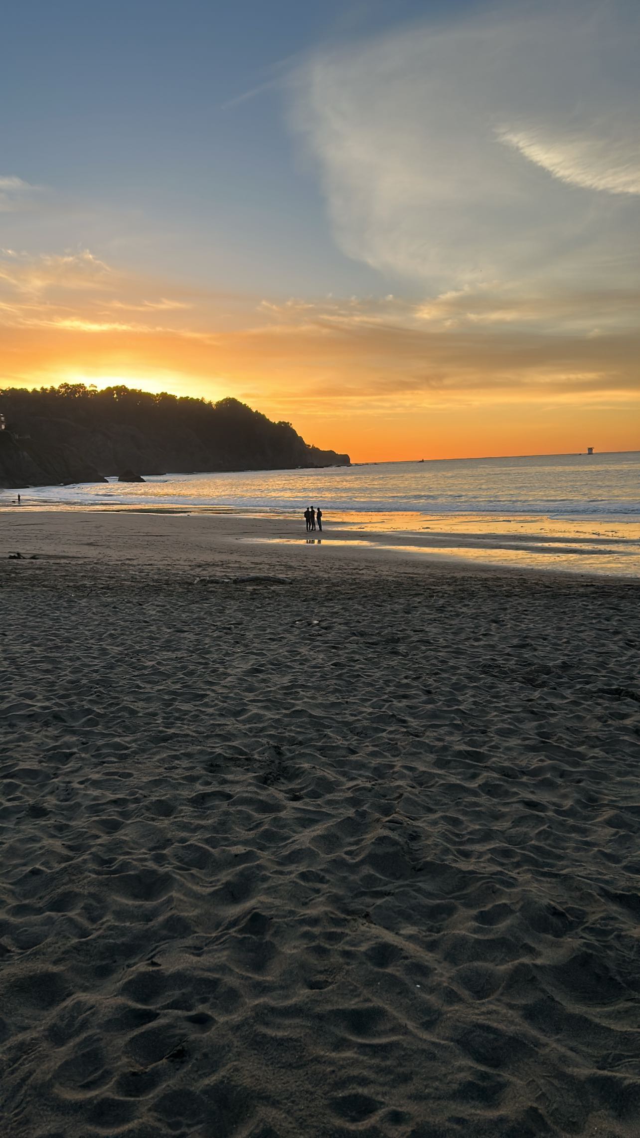 zommmbri instagram image archive image