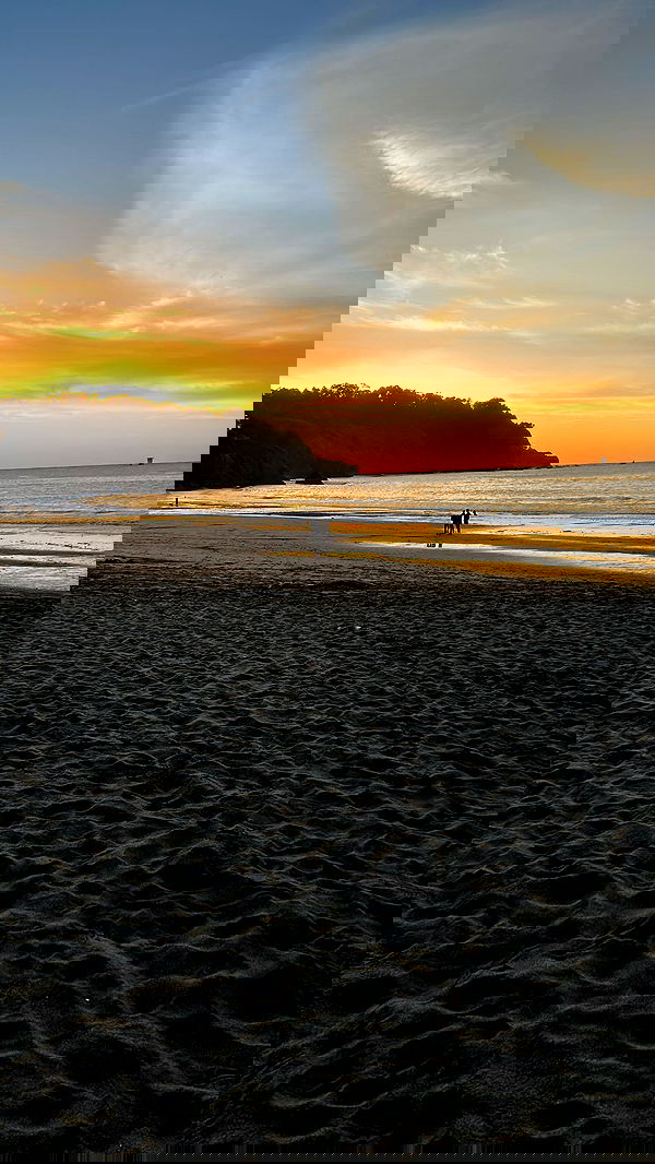 zommmbri image ~ Altpins