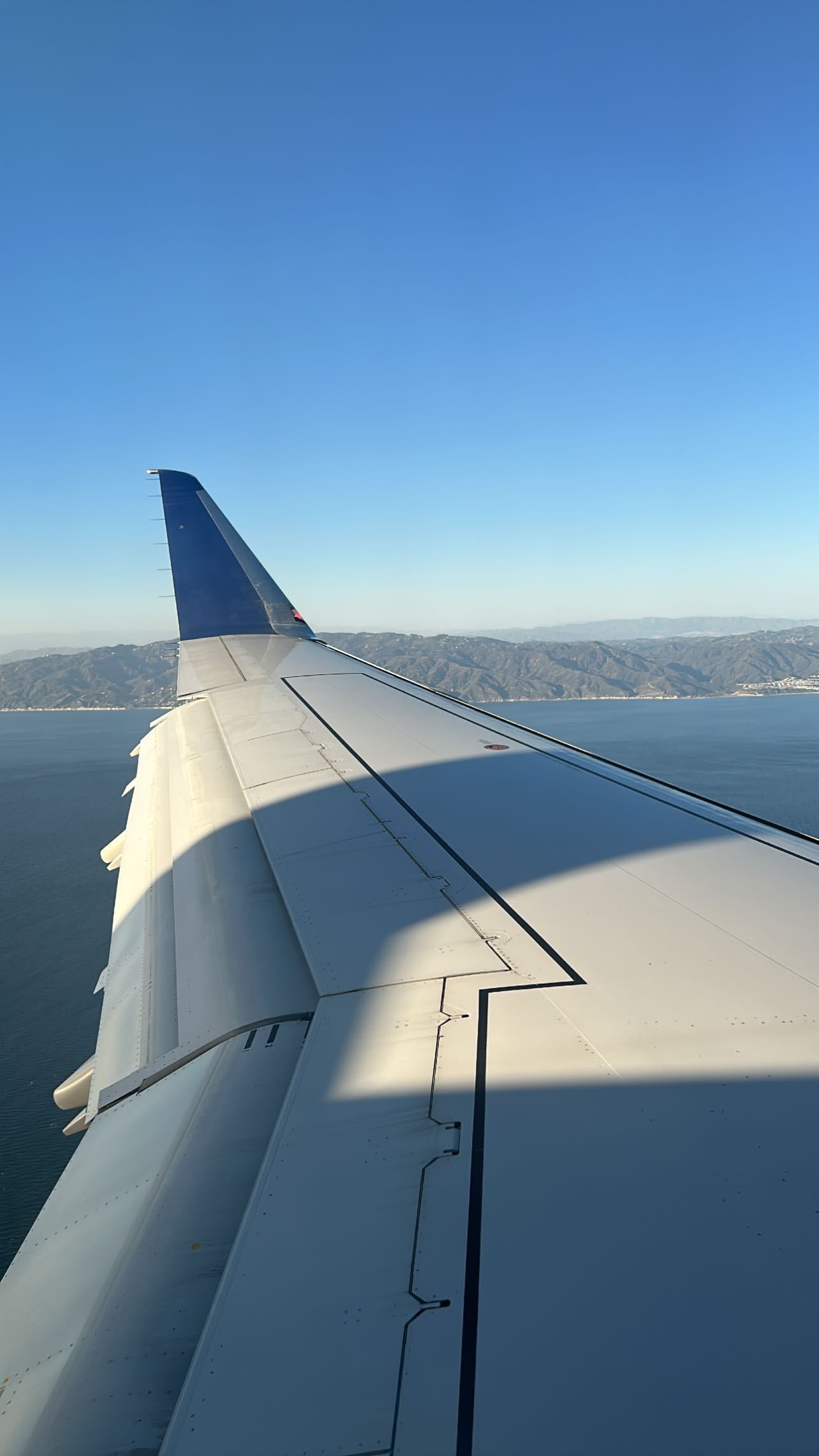 zommmbri instagram image archive image