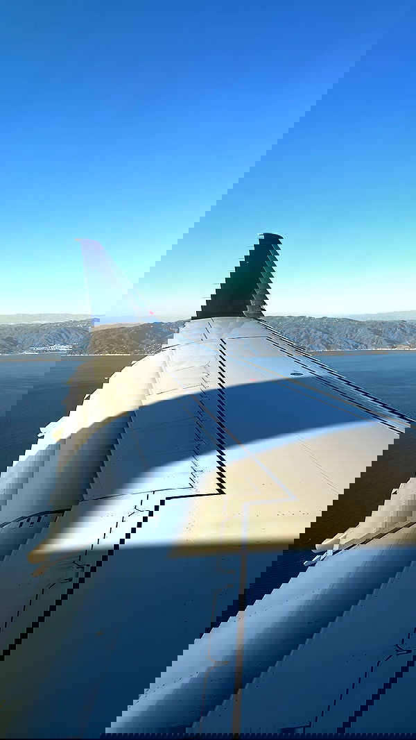 zommmbri image ~ Altpins