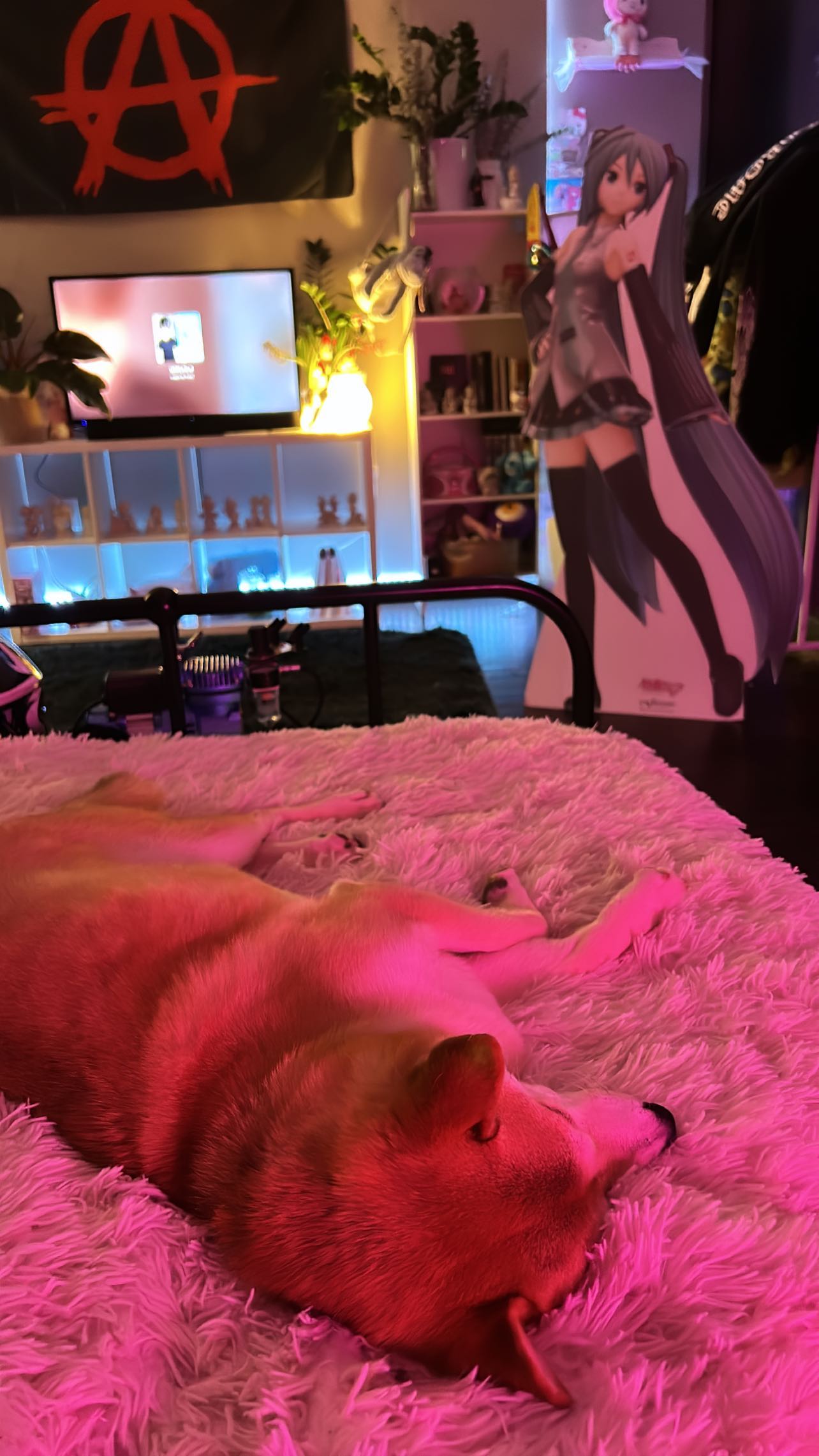 zommmbri instagram image archive image