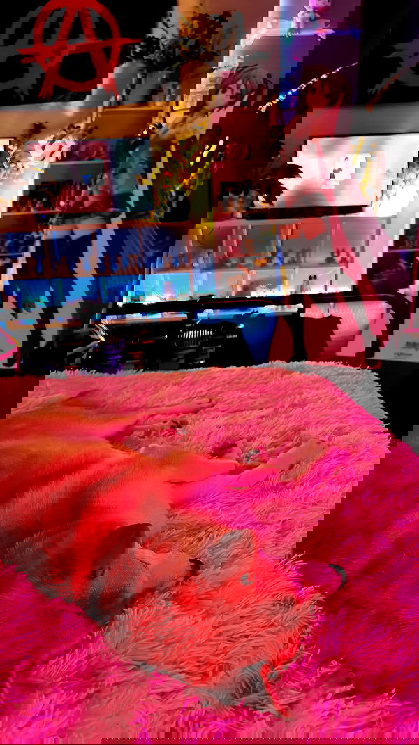 zommmbri image ~ Altpins