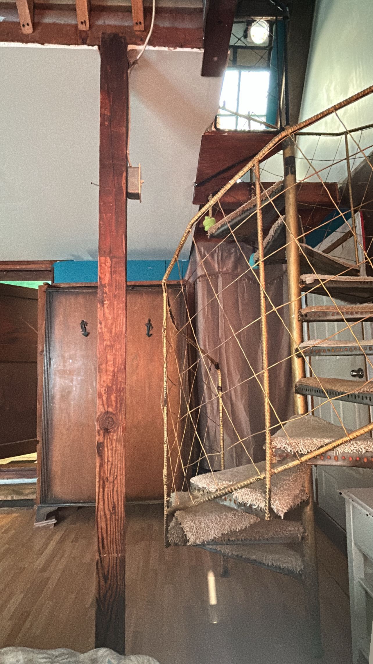 zommmbri instagram image archive image