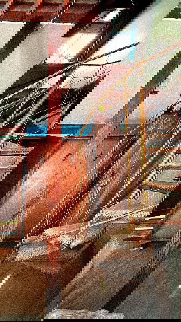 zommmbri image ~ Altpins