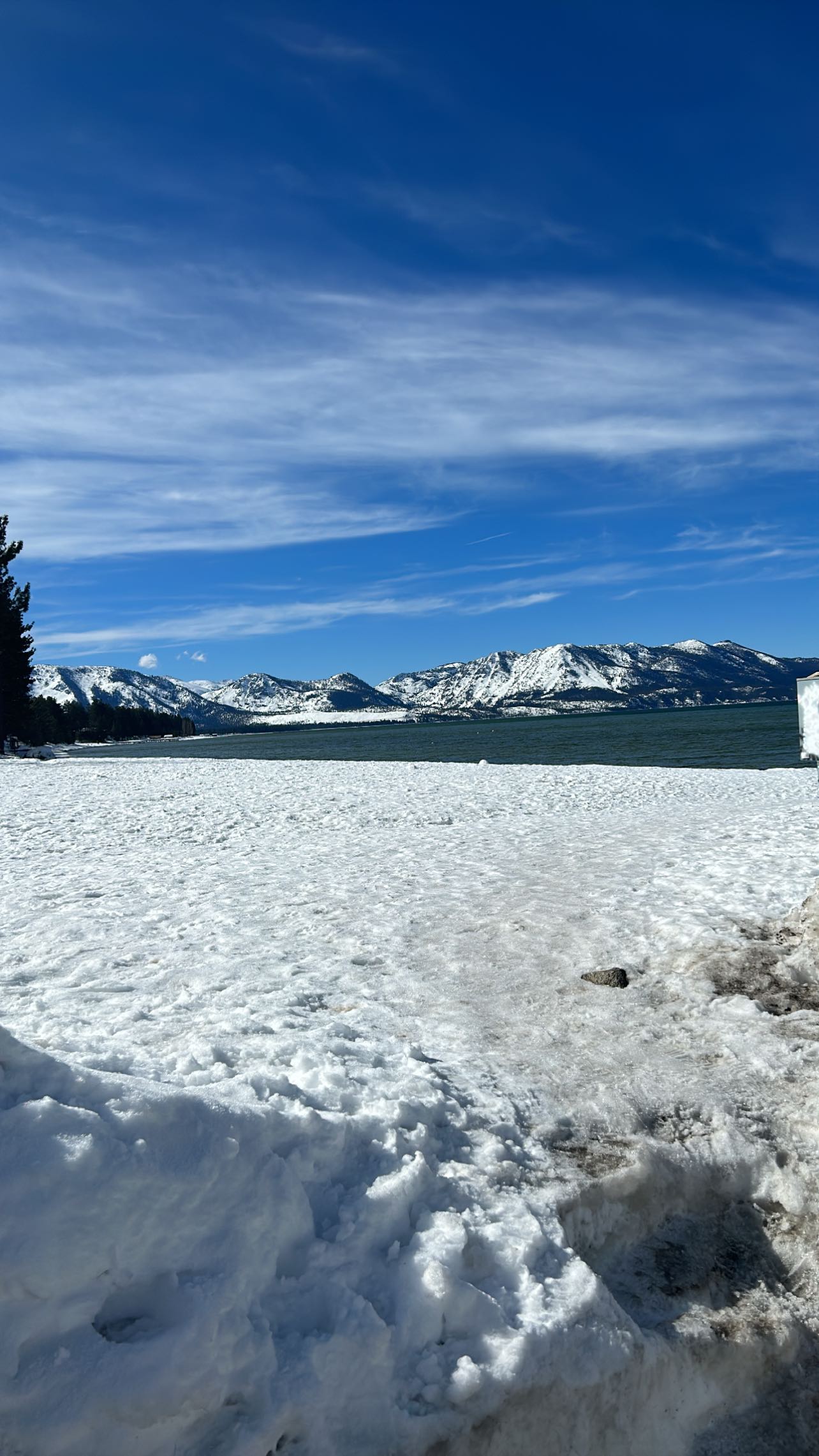 zommmbri instagram image archive image