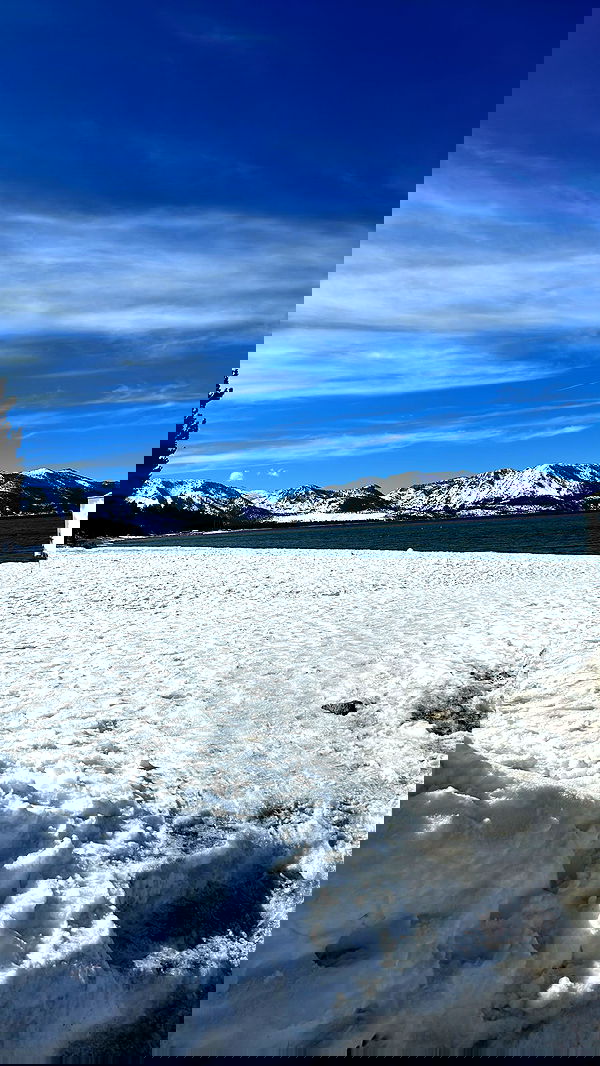 zommmbri image ~ Altpins