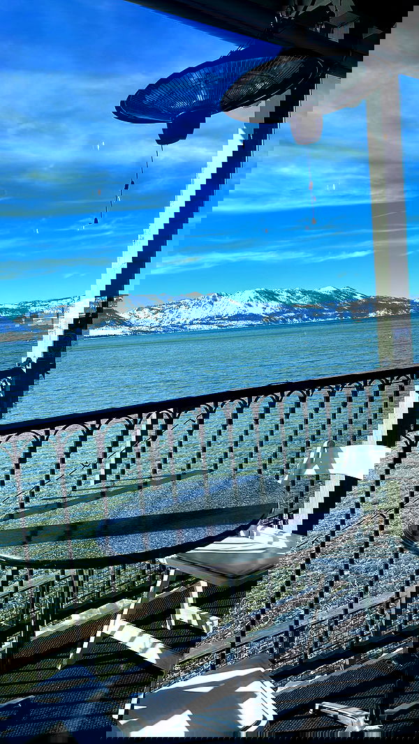 zommmbri image ~ Altpins