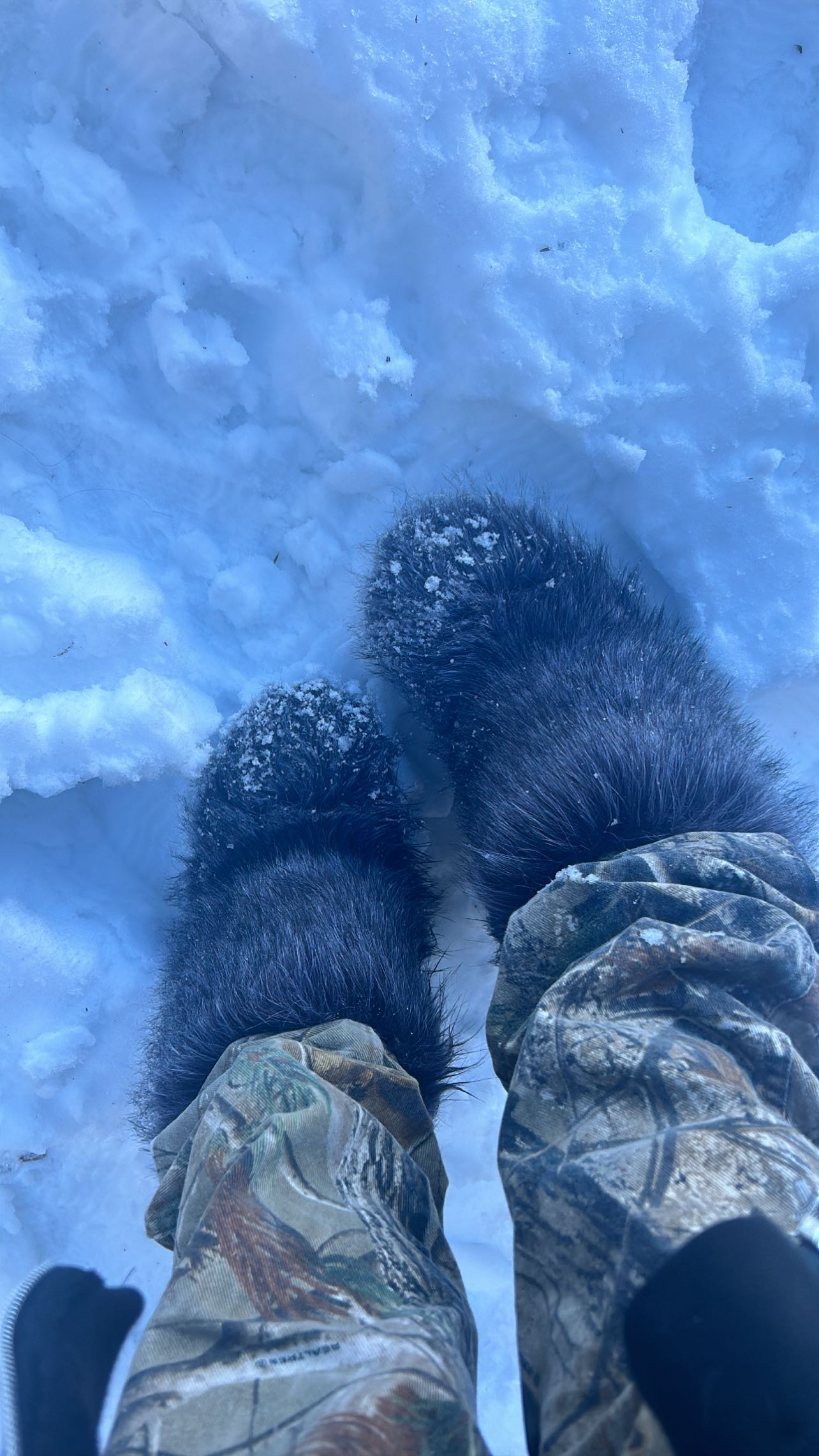 zommmbri instagram image archive image