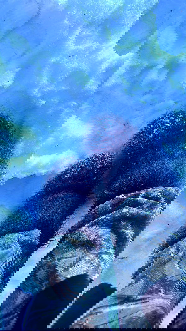 zommmbri image ~ Altpins