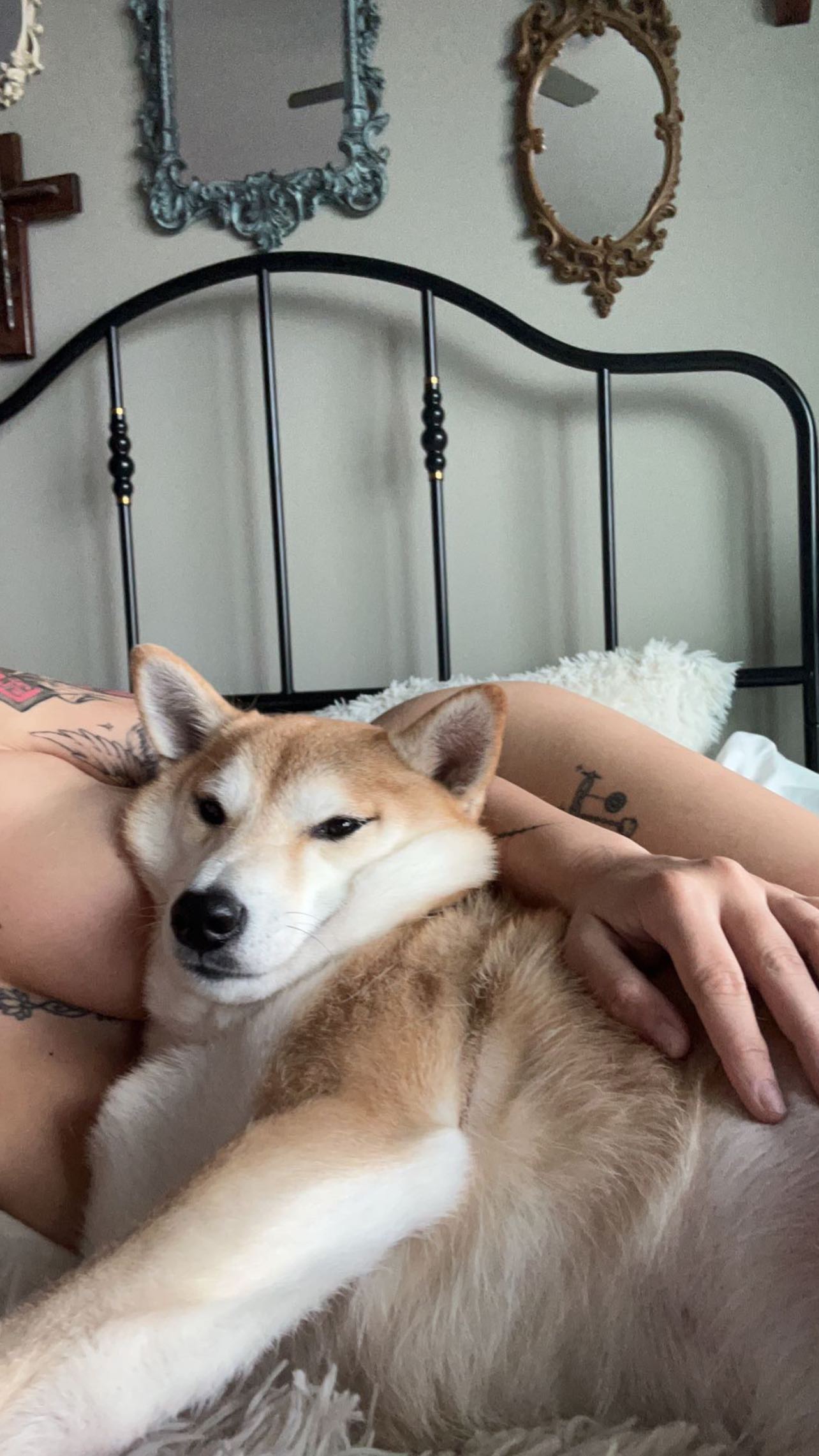 zommmbri instagram image archive image