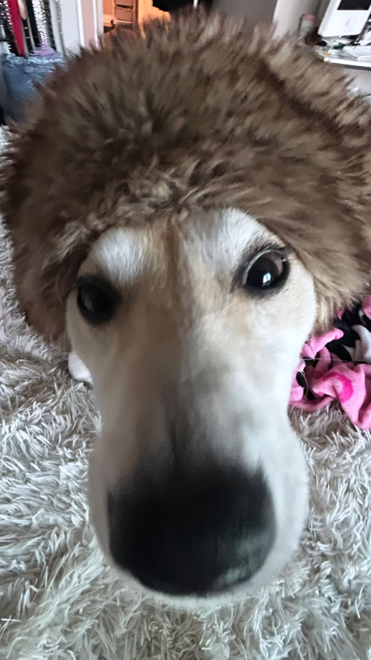 zommmbri instagram image archive image