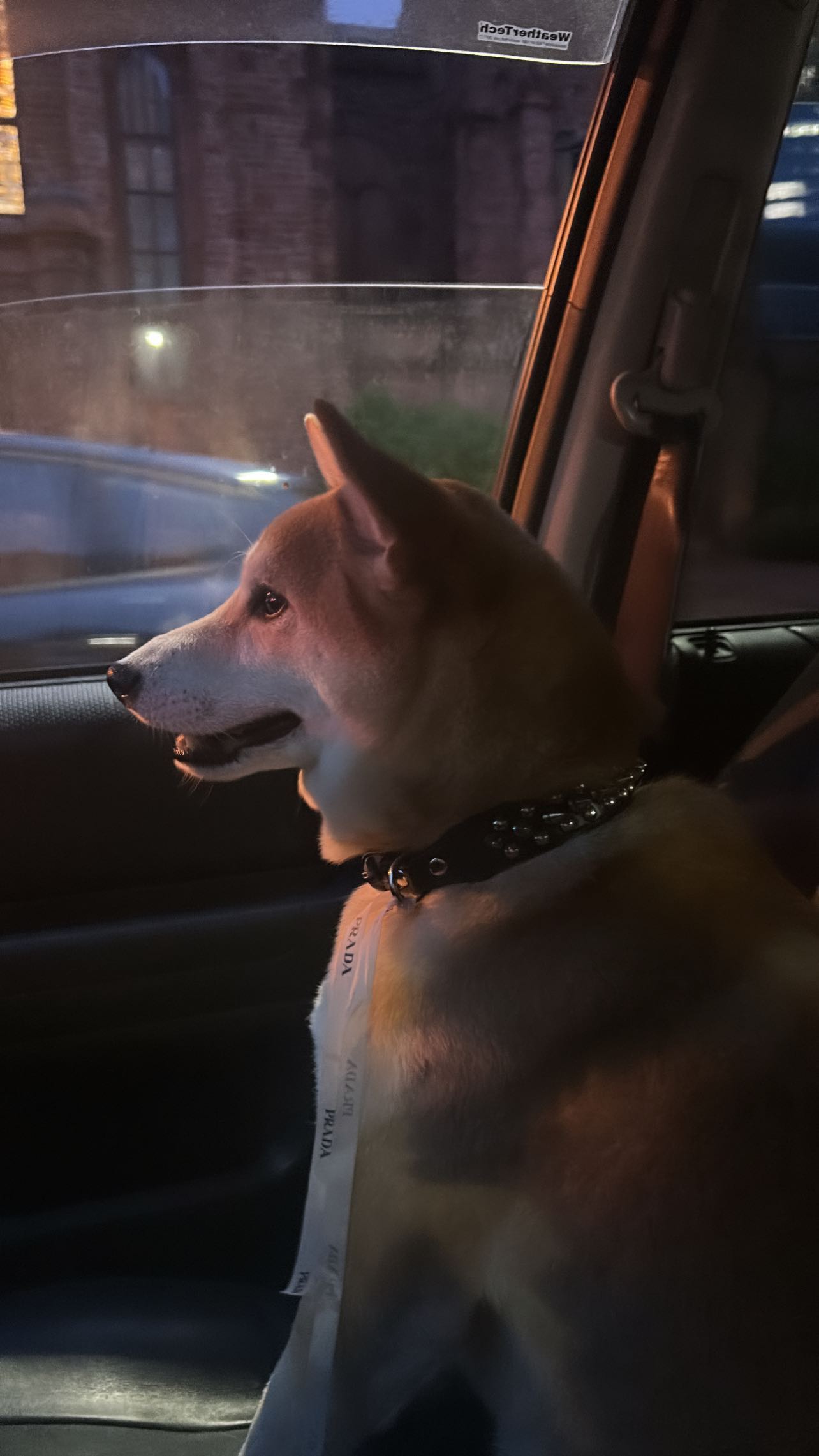 zommmbri instagram image archive image