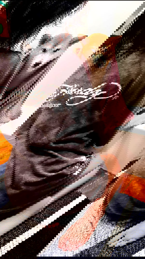 zommmbri image ~ Altpins