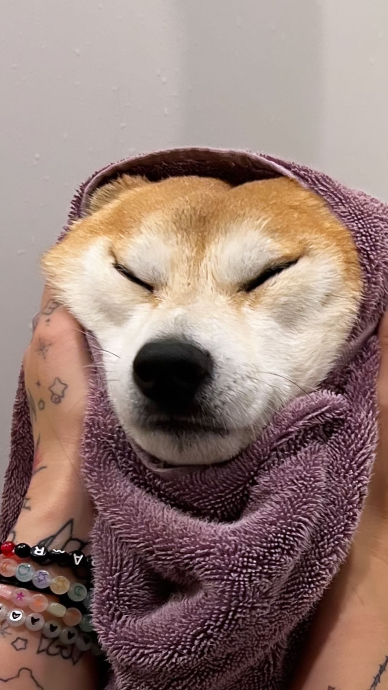 zommmbri instagram image archive image