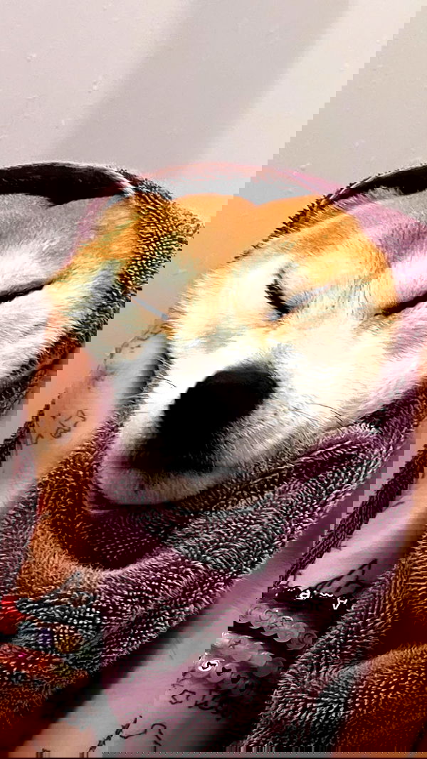 zommmbri image ~ Altpins