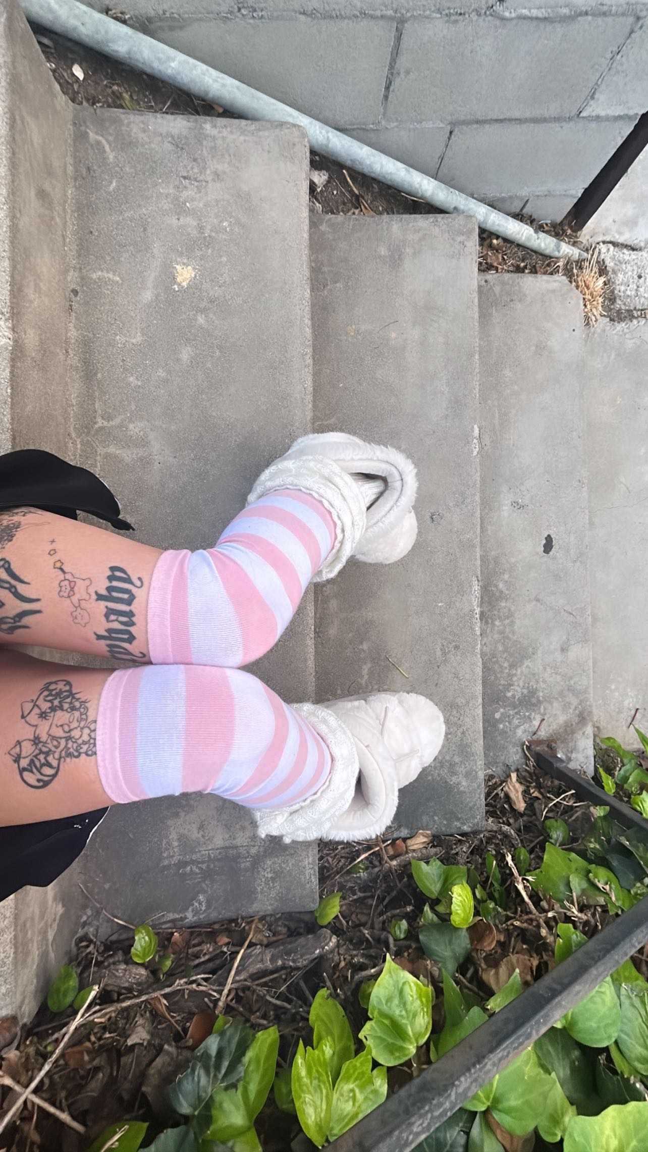 zommmbri instagram image archive image