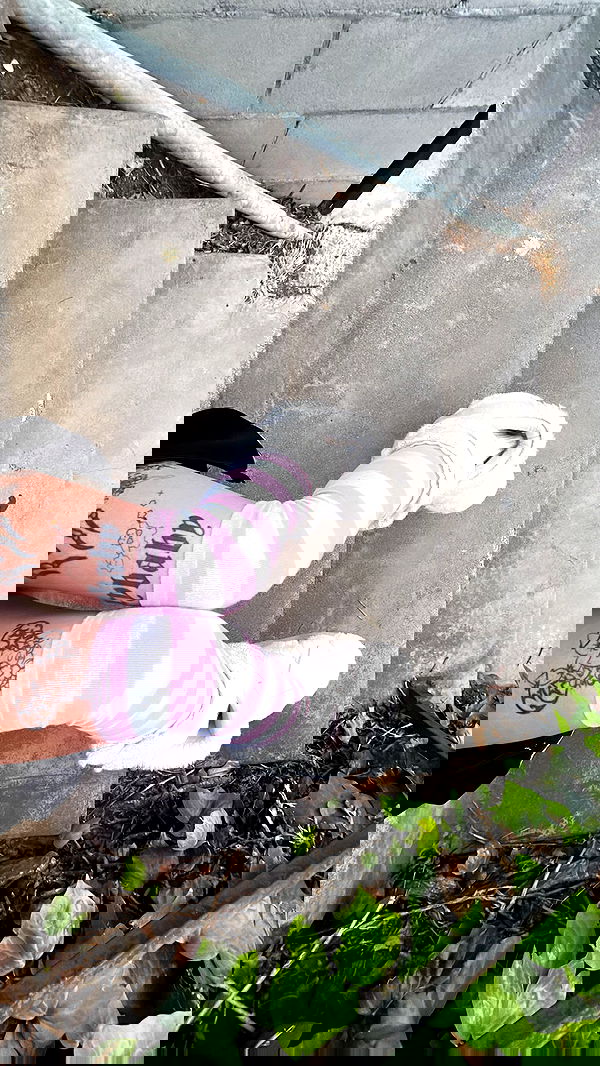 zommmbri image ~ Altpins