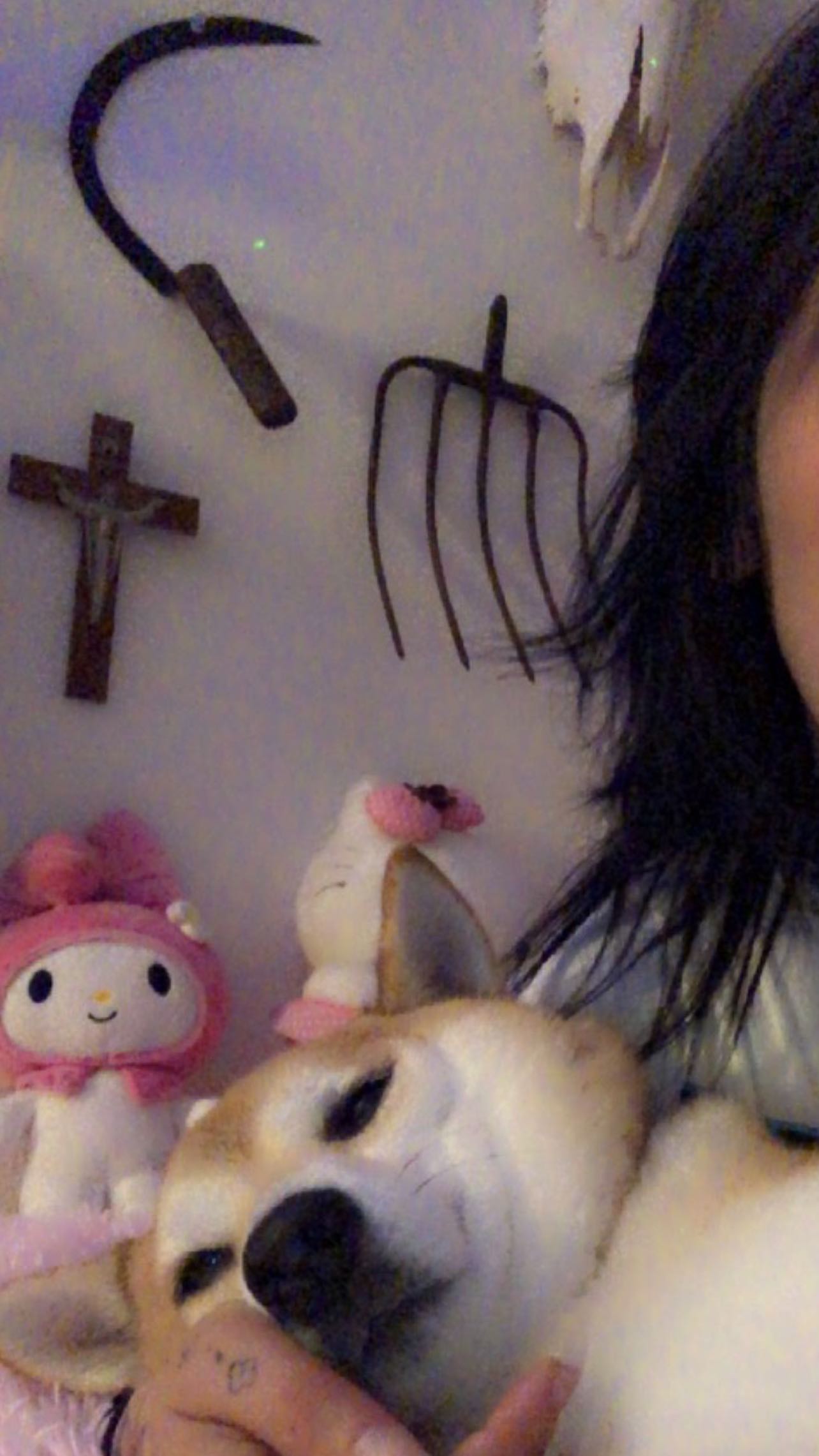 zommmbri instagram image archive image