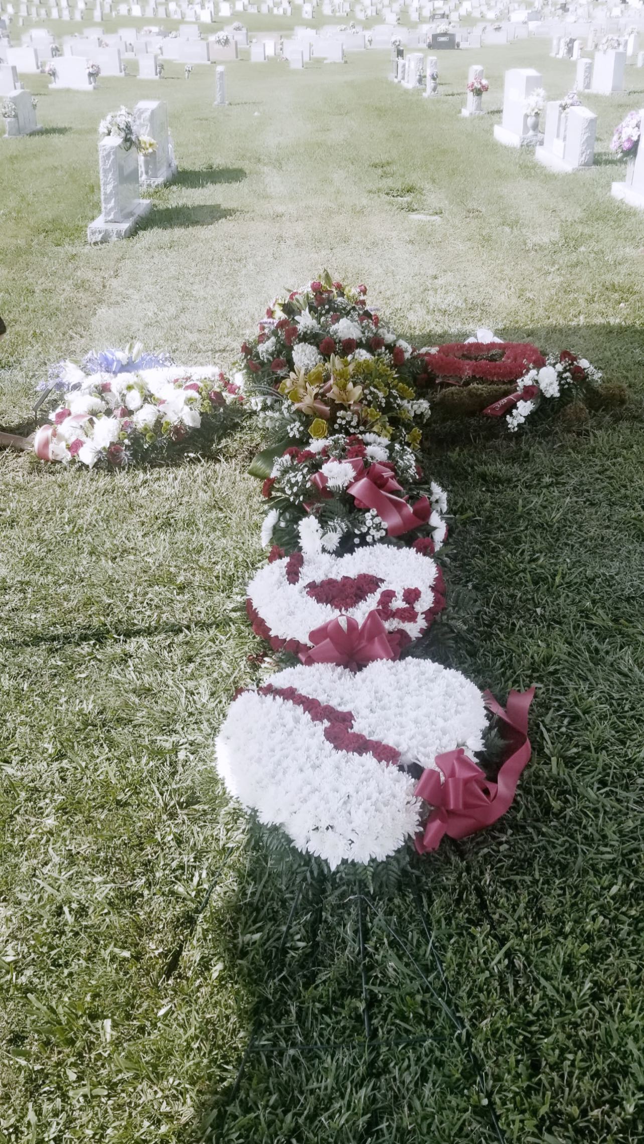 zommmbri instagram image archive image