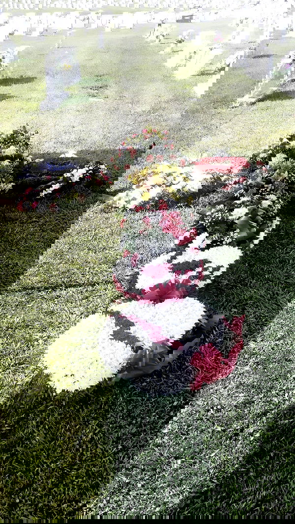 zommmbri image ~ Altpins