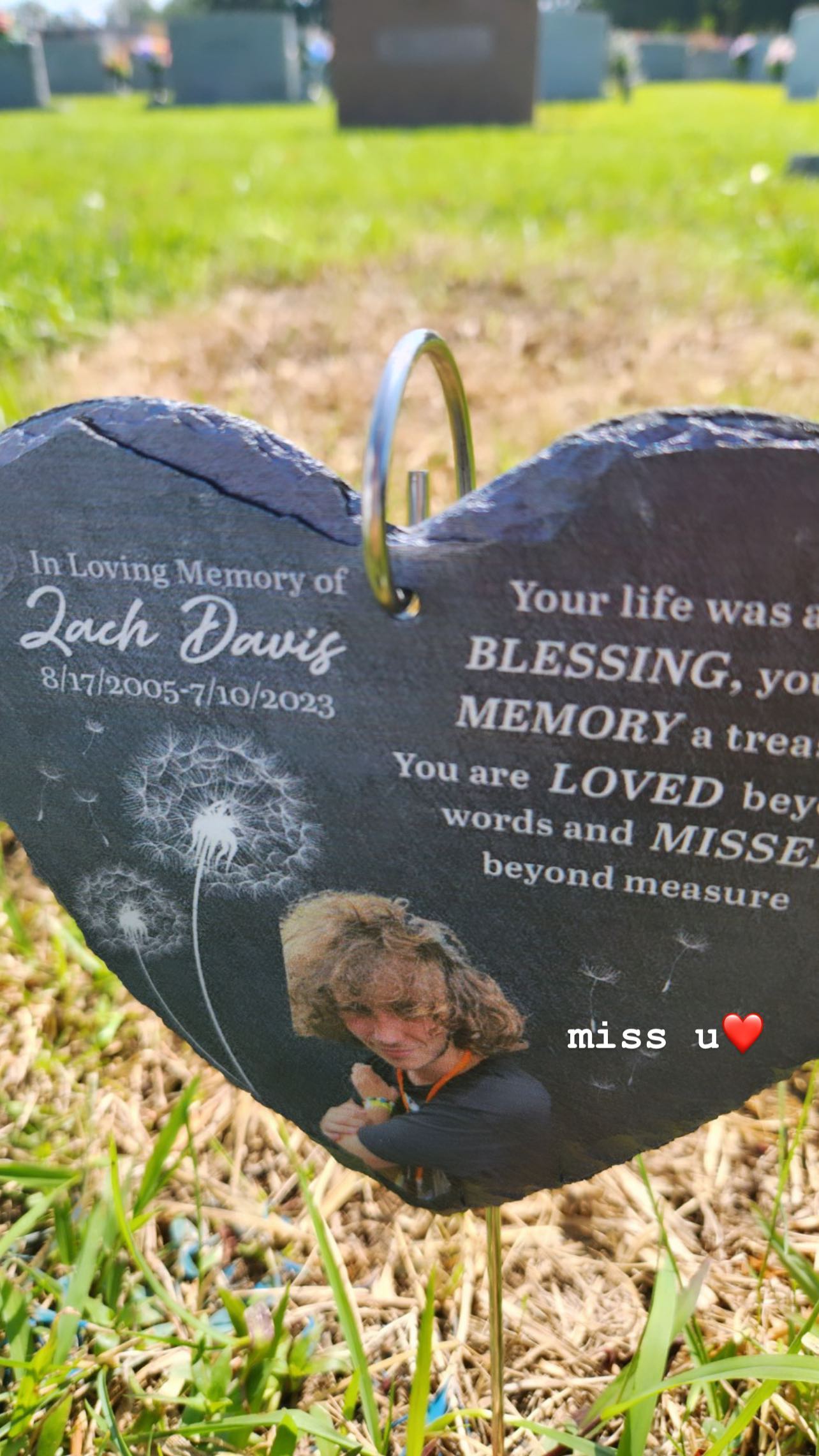 zommmbri instagram image archive image